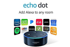 Echo Dot (2nd Generation)