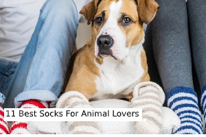 11 Best Socks For Animal Lovers