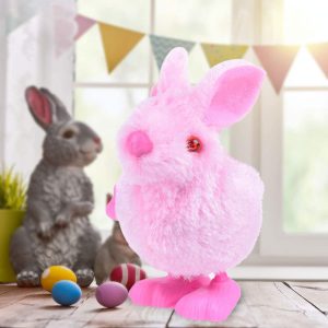 Cocoo Easter Animal Wind Up Toys