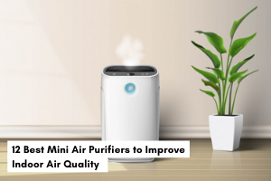 12 Best Mini Air Purifiers to Improve Indoor Air Quality