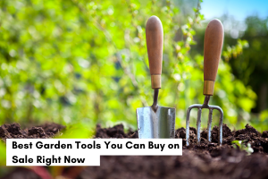 Best Garden Tools You Can Buy on Sale Right Now